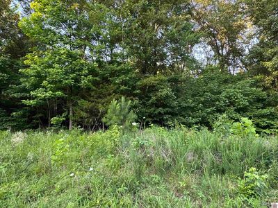 1556 Hopkins Rd, Murray, KY, 42071