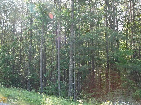 4th image of 272 Dill Ln