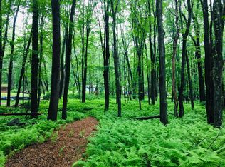 LOT 506 Ridge Rd, Pocono Lake, PA 18347