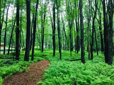 LOT 506 Ridge Rd, Pocono Lake, PA, 18347