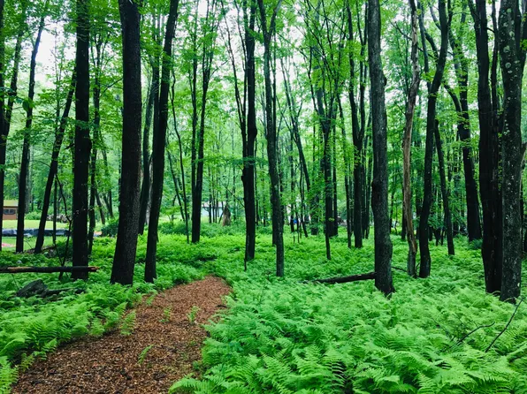 LOT 506 Ridge Rd, Pocono Lake, PA 18347