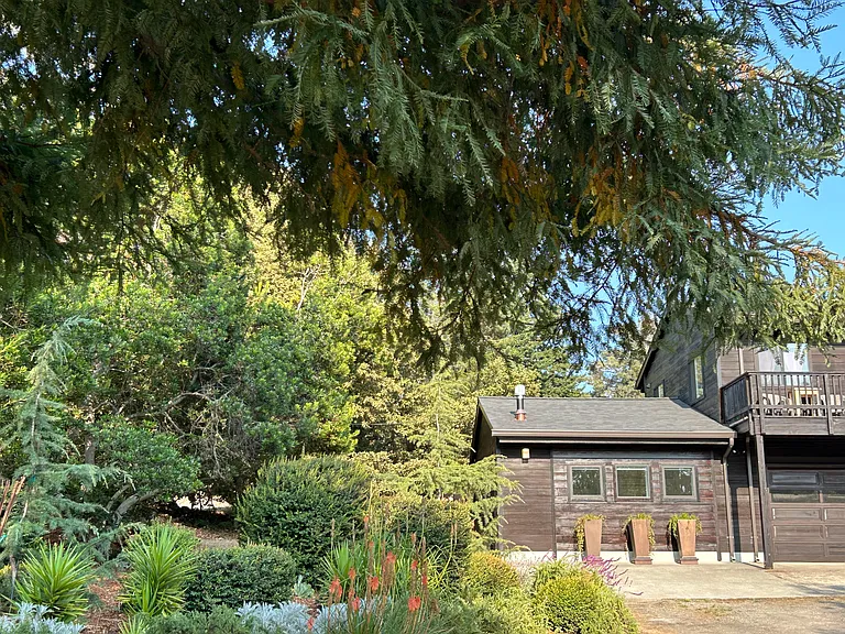Gardens + Studio Beyond