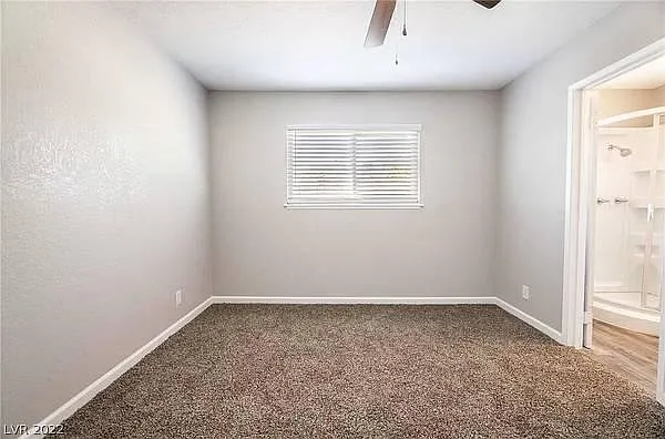 137 Juniper St — Photo 11