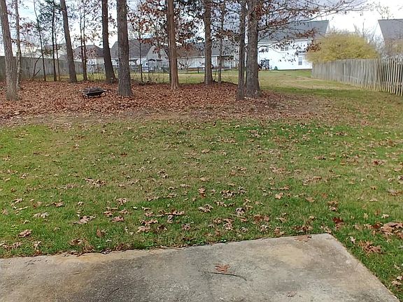 Patio and back yard