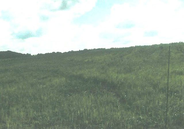 2nd image of 287 U P Church Rd