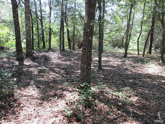 4th image of L-16 Fernwood Drive LOT 16