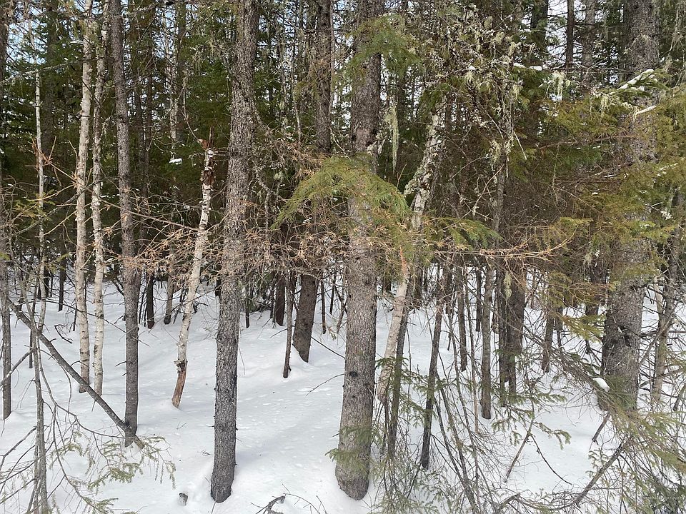 2nd image of 318 Young Lake Rd