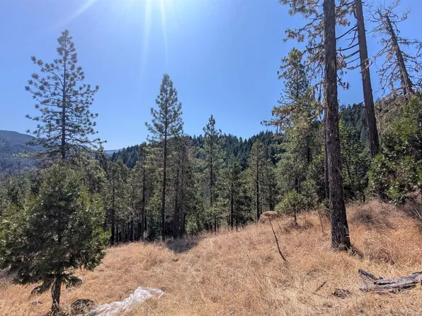 900 Old Cabin Dr, Glide, OR 97443