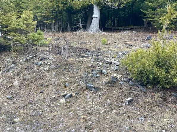 Old Ferry Dock Rd, Drummond Island, MI 49726