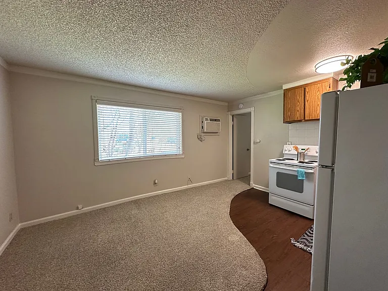 Boutique Apartments in Boulevard Park, Includes Gated, Covered Parking! — Photo 15