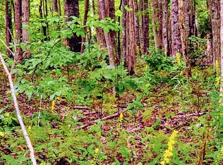 Wallace Rd, Shady Valley, TN 37688