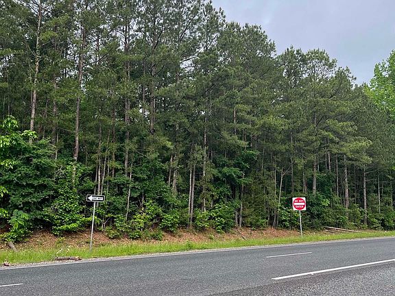 5th image of 259 Tbd Hwy