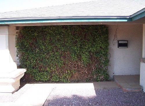 4th image of 4602 W Glenview Pl