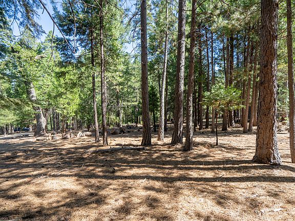 5th image of Lot 31 Shasta Forest Dr