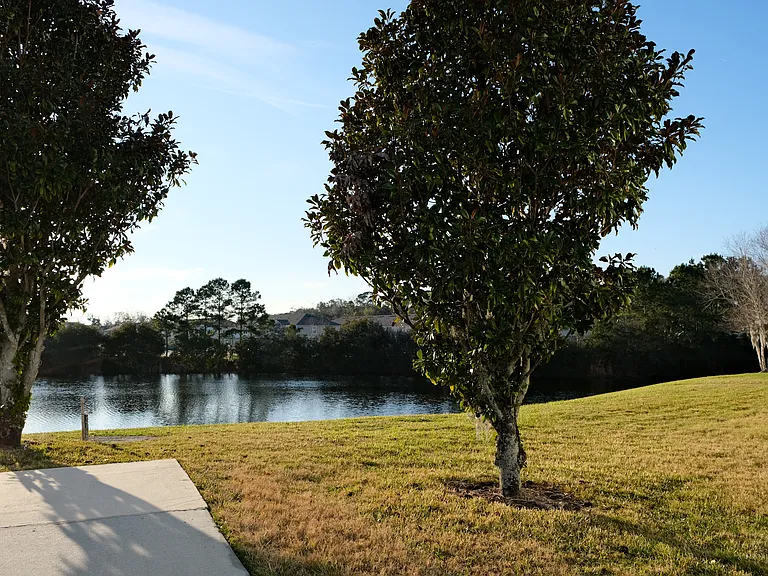 Lake side view