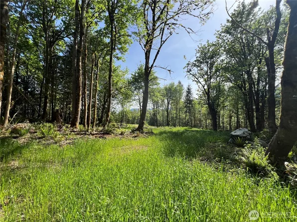 3 XXX Leland Valley Road W, Quilcene, WA 98376