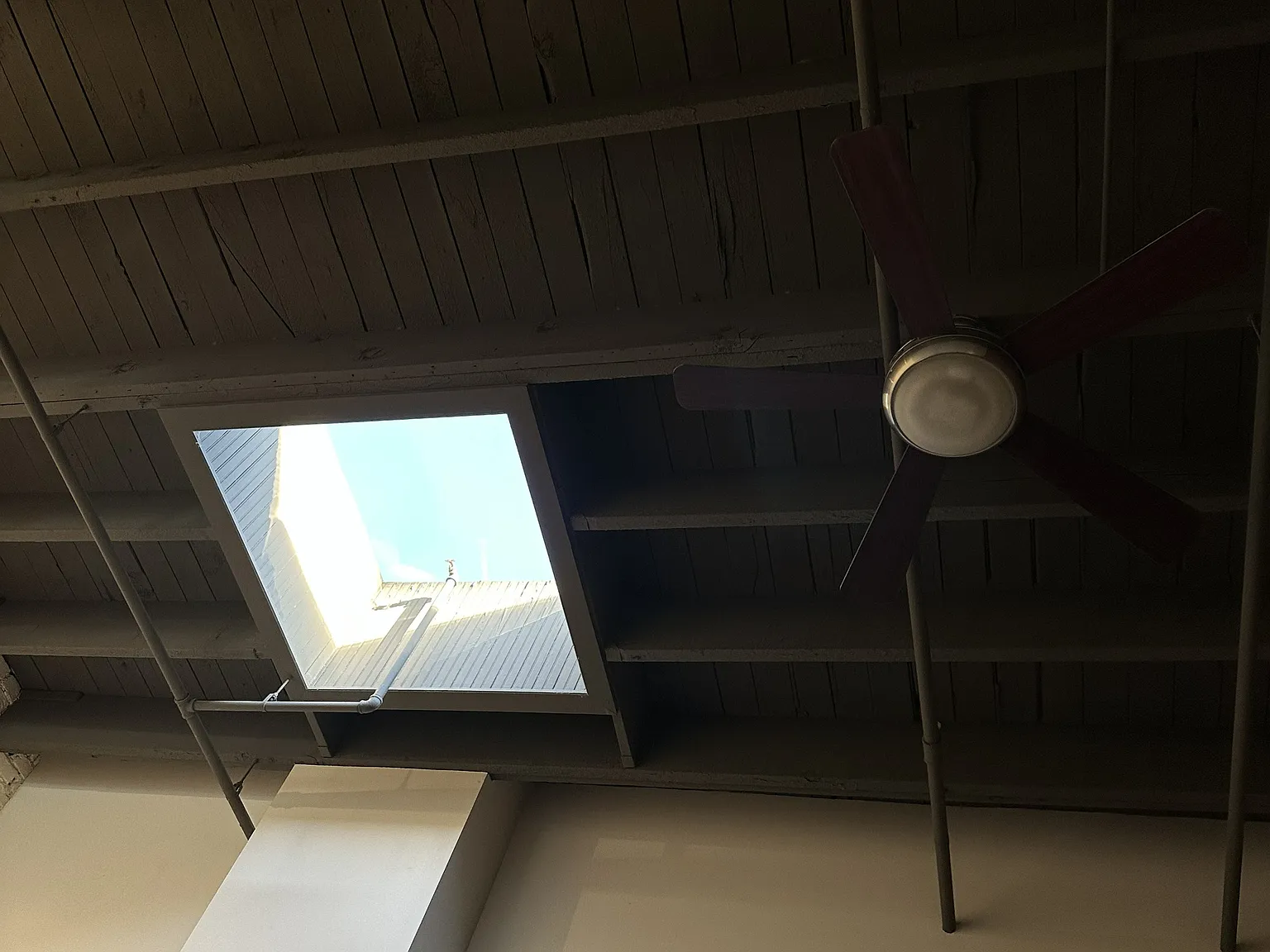 1 bed, 1189 sqft, $1,550 — Photo 4