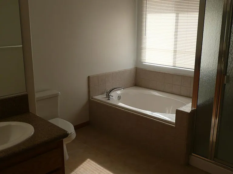 Master bath has a cozy tub with snow capped mountain views!