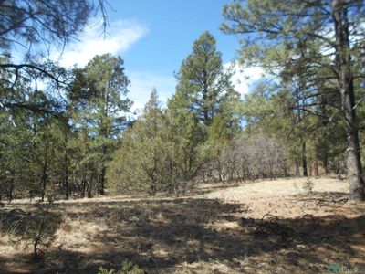 Mm 22.5 Highway Hwy #518, Buena Vista, NM, 87712