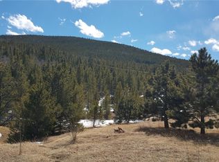 348 Russell Gulch Rd, Central City, CO 80427