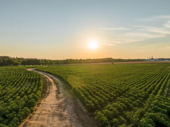 5065 State Highway 520, Weston, GA 31832