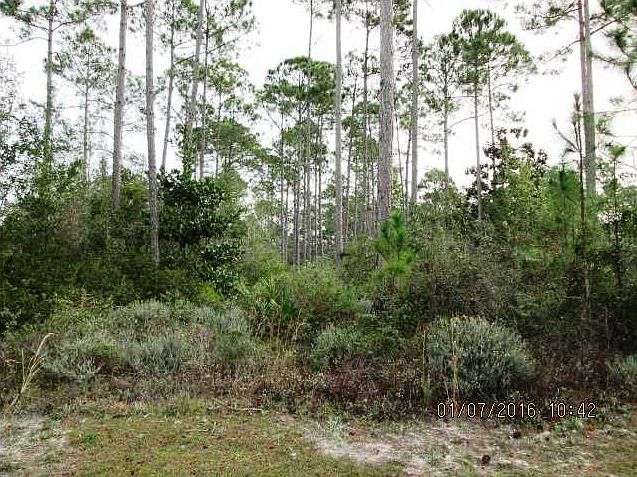 2nd image of 106 Palm Breeze Way