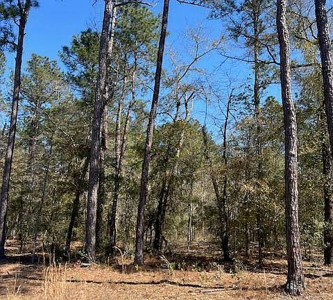 2nd image of 6686 Mossey Run Drive NE