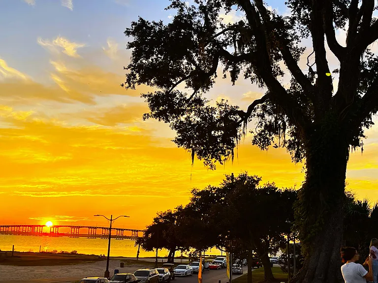 Live Oak Front Beach