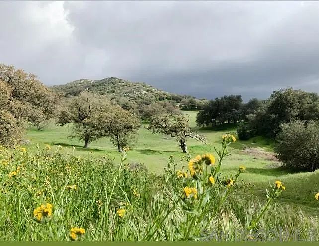 1st image of 0 Tule Springs Rd