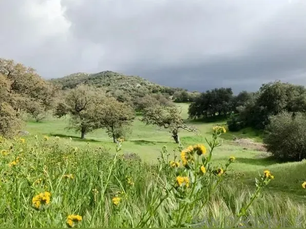 0 Tule Springs Rd, Julian, CA 92036
