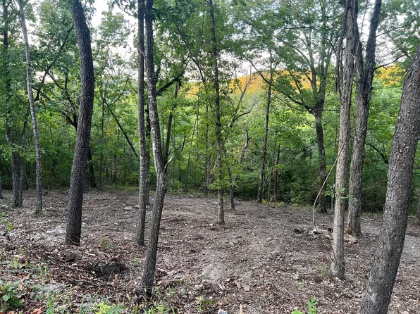 190 Deer Dr, Ridgedale, MO 65739