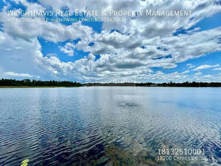 18200 Cypress Cove Ln — Photo 74