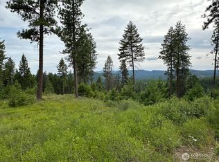 3600 Sheridan Rd #P, Republic, WA 99166