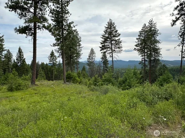 3600 Sheridan Road #P, Republic, WA 99166