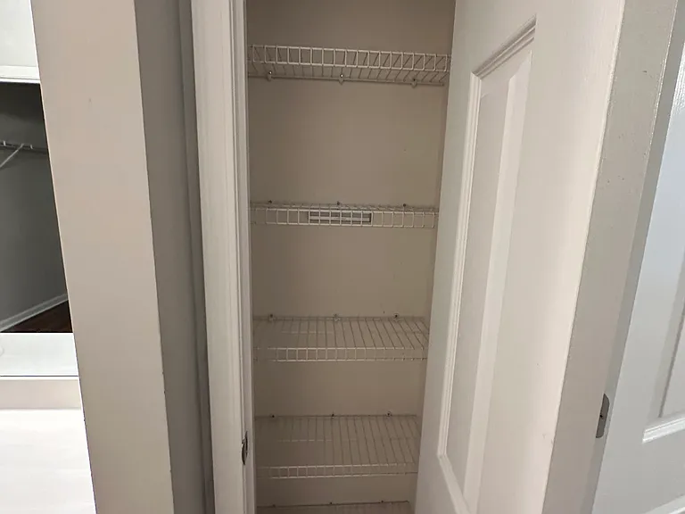 Master bathroom linen closet