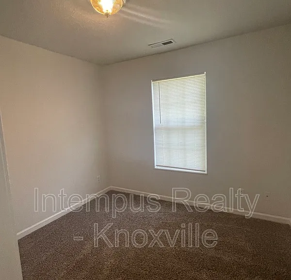 3119 Pinex Ln — Photo 11