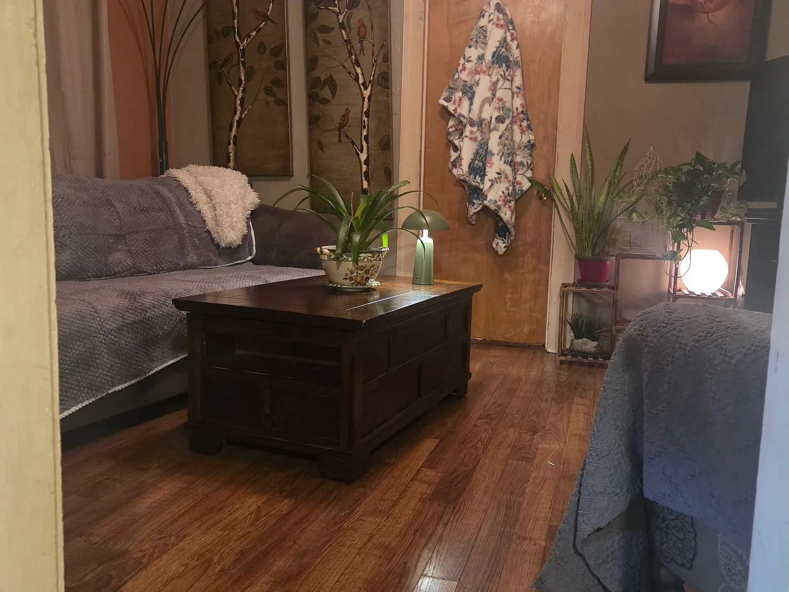 3 bed, $1,000 — Photo 2