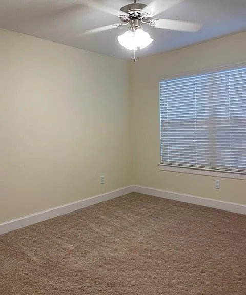 11506 Main Elm Dr — Photo 25