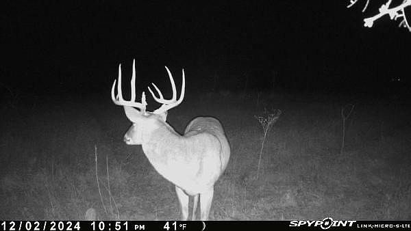 1st image of 1 County Road 343