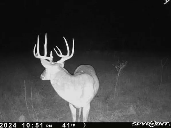 1 County Road 343, Dublin, TX 76446