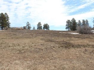 191 Badger Rd, Pagosa Springs, CO 81147