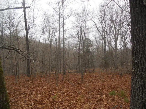 Cane Branch Rd, Western Grove, AR 72685