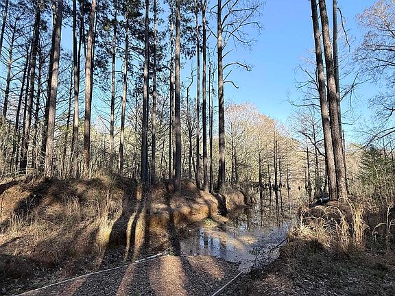 3rd image of 1187 Webster Bluff Rd