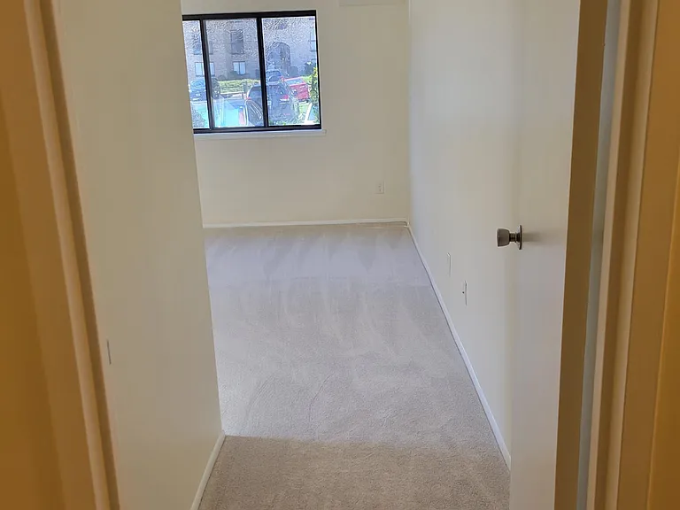 2049 Royal Fern Ct #2B — Photo 12