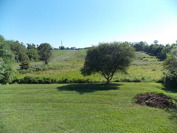 Back Yard with a Cherry Tree
