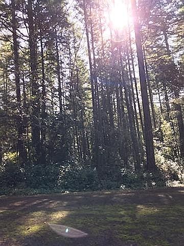 2nd image of 11308 114th Ave