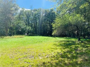 427 Little Ireland Rd, Livingston Manor, NY 12758