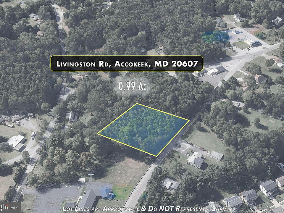 2nd image of Livingston Rd