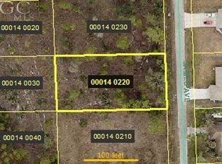 919 James Ave, Lehigh Acres, FL 33936