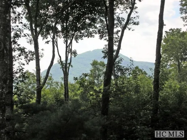 LOT 29 Branchwater Trl, Glenville, NC 28736
